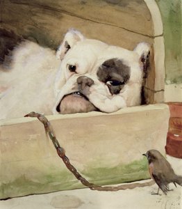 Bulldog, 1927